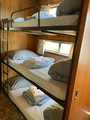 Lunar Cabins Parkes Eksteriør billede